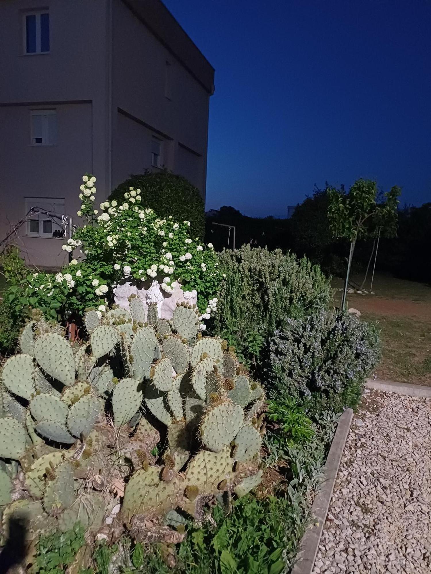 Villa Ana Međugorje Eksteriør billede
