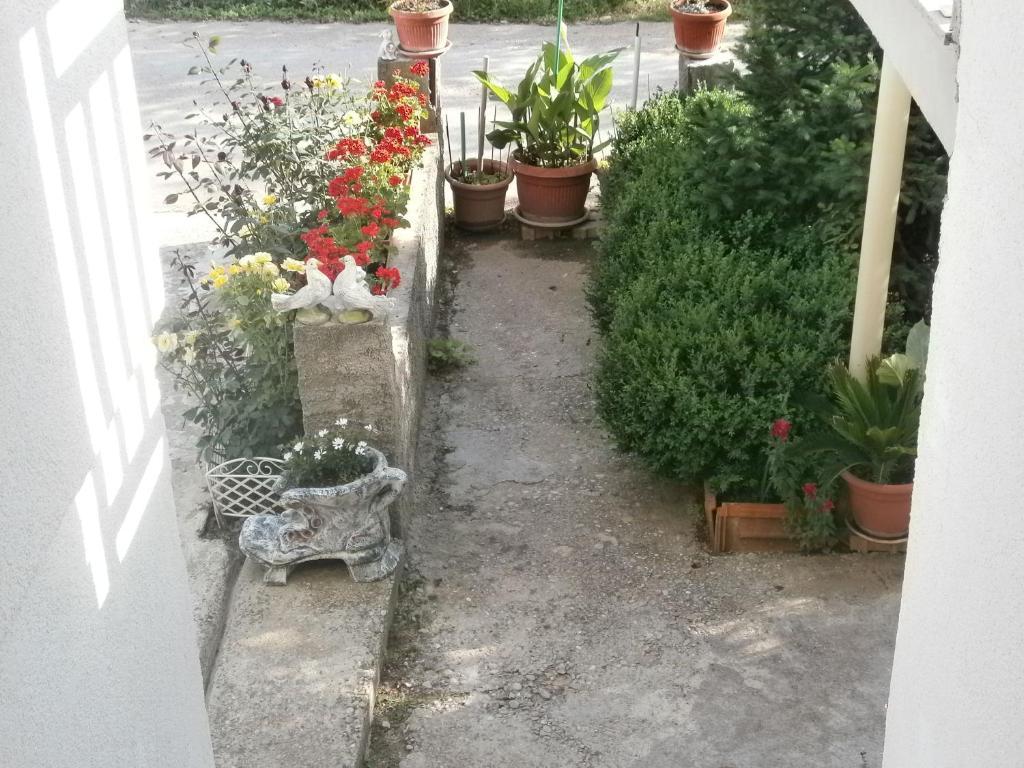 Villa Ana Međugorje Eksteriør billede