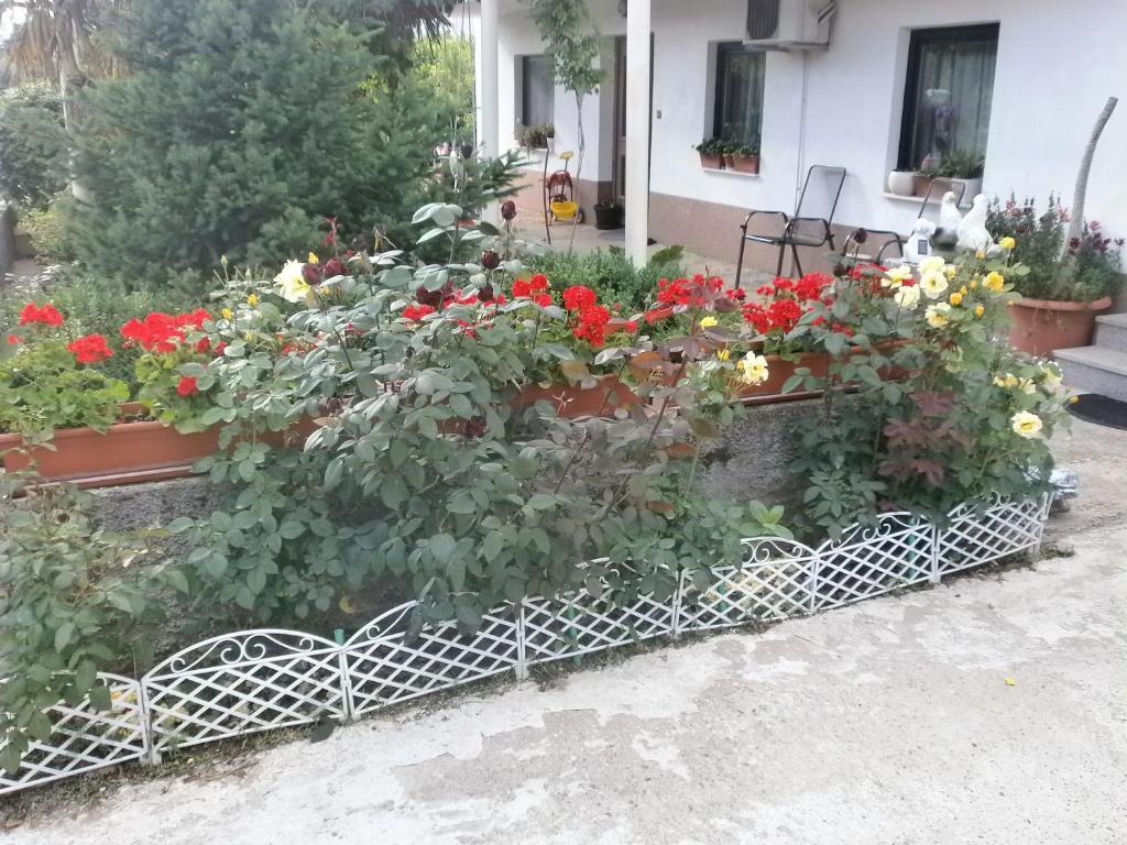 Villa Ana Međugorje Eksteriør billede
